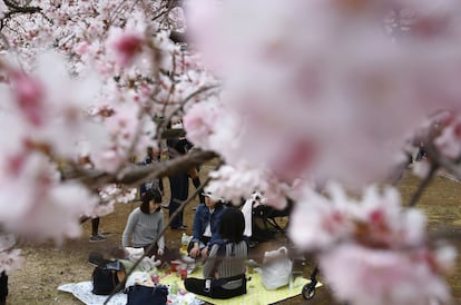 En la imagen, una familia celebra la fiesta del 'sakura' en un parque de Tokio.