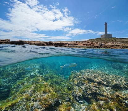 Faro del Cabo de Palos (Cartagena), en cuyas aguas naufragó el 4 de agosto de 1906 el vapor italiano 'Sirio'.