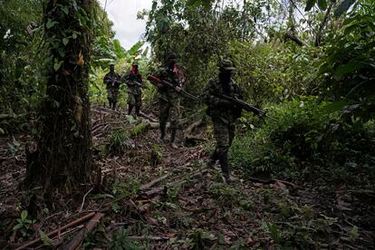 Paro armado Chocó Colombia