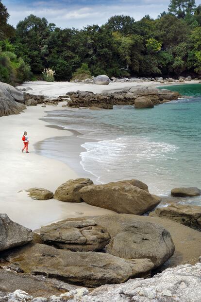 Ría de Aldán (Pontevedra): el Caribe gallego. Esta denominación caribeña parece un oxímoron, una rebuscada contradicción. En la península del Morrazo, que separa la ría de Vigo de la de Pontevedra, hay otra ría más pequeña que mira al norte, la de Aldán, que está llena de playas de arena blanca y fina como la harina y bañadas por un mar de color turquesa. Ciertamente el clima gallego es muy distinto al caribeño y el agua del mar no está nunca, ni remotamente, templada, pero eso a la vegetación ribereña no parece importarle, porque no puede ser más exuberante. El Bosque Encantado o Finca do Frendoal, por ejemplo, parece una auténtica selva tropical. Tampoco le ha de importar al viajero que se acerque aquí en esta época, pues no ha venido a bañarse. Aquí se viene fuera de temporada a pasear por las playas desiertas y a comerse una empanada de zamburiñas al solecito otoñal. Las playas de San Xián, Pipín y Castiñeiras, en la margen izquierda de la ría, son perfectas para esto. Las tres se juntan prácticamente cuando baja la marea, como si fueran un solo arenal de 400 metros, y se puede pasar sin dificultad de una a otra caminando sobre las grandes rocas de granito que las separan. Se puede llegar a ellas a pie o en coche desde las casas de Pinténs, por las rúas do Cancelo o Baixada a Castiñeiras.