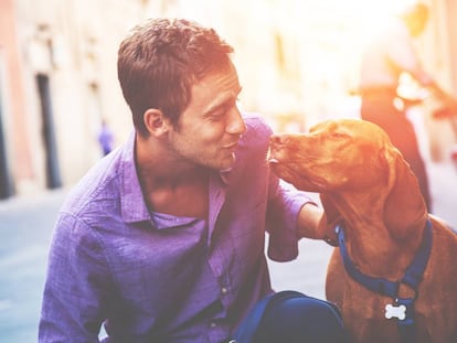 ¿Qué pasa si mi perro me lame la cara?