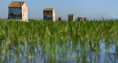 Casas de aperos en el parque natural de La Albufera, en Valencia.