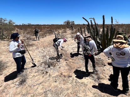 Women from the Madres Buscadoras de Sonora group search for human remains near Hermosillo (northwest Mexico).