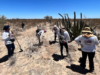 Madres Buscadoras de Sonora durante una búsqueda de restos humanos en Hermosillo.