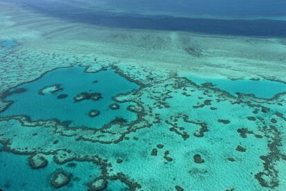 Vista aérea de la Gran Barrera de Coral de las Islas Whitsunday, a lo largo de la costa central de Queensland, Australia.