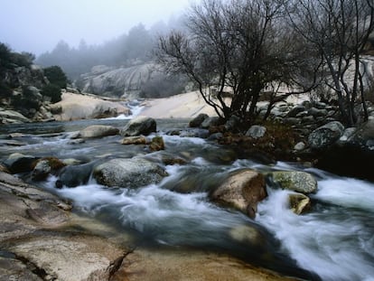 La Sierra de Guadarrama fue declarada Parque Nacional en 2013. Varias especies animales habitan en ella están en peligro de extinción.