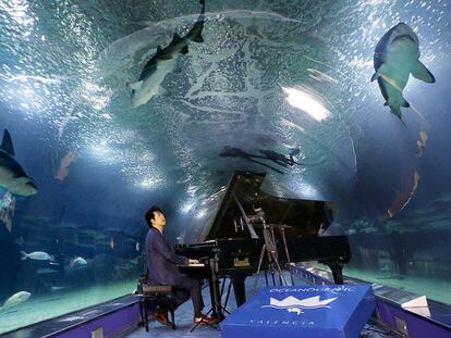 El pianista Lang Lang en el t&uacute;nel de los tiburones del Oceanogr&agrave;fic de Valencia.