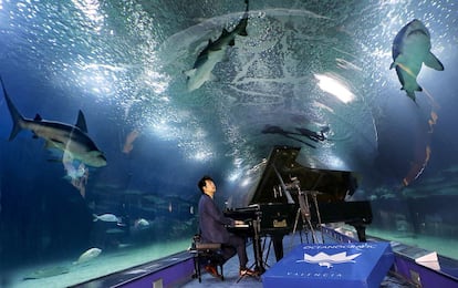 El pianista Lang Lang en el t&uacute;nel de los tiburones del Oceanogr&agrave;fic de Valencia.