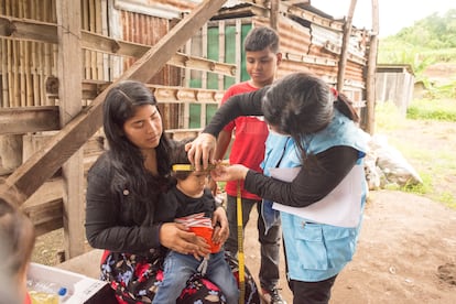 Desnutricion Ecuador