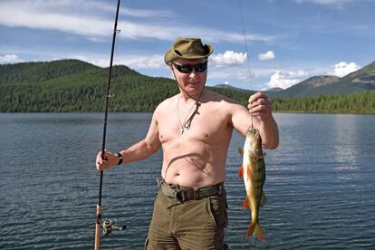 El presidente ruso, Vladímir Putin, se fue de pesca a la taiga siberiana, donde capturó una perca y practicó submarinismo y deporte al aire libre.
