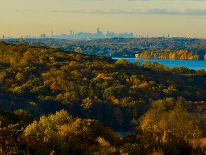 A cidade de Nova York, vista da estação biológica da Universidade de Fordham.