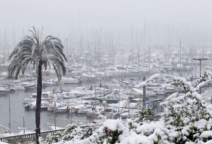 El puerto deportivo de Palma, cubierto de nieve.