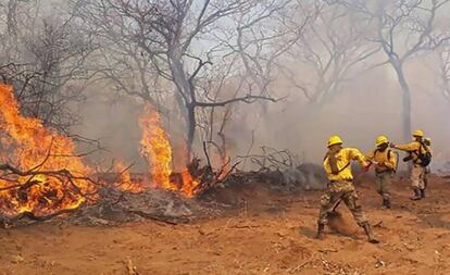 Imagen del Ministerio de Defensa de Bolivia que muestra a bomberos combatiendo el incendio que ha arrasado con centenares de hectáreas de bosque.