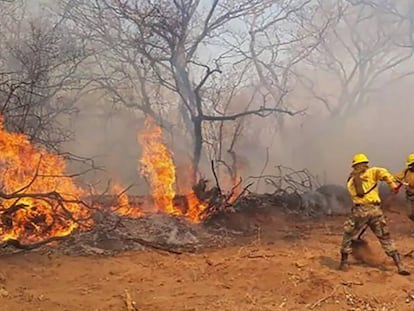 Imagen del Ministerio de Defensa de Bolivia que muestra a bomberos combatiendo el incendio que ha arrasado con centenares de hectáreas de bosque.