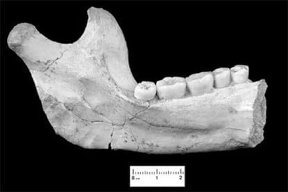 La mandíbula pertenece a una mujer de entre 17 y 18 años y que fue hallada en 2003 en la sierra de Atapuerca.