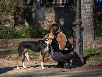 A woman pets her dog in a park in Barcelona, Spain.