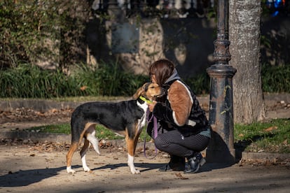 La amistad entre perros y humanos encuentra una base científica que explica su origen