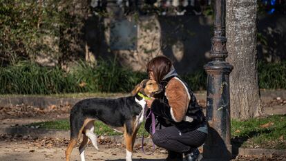 Una mujer acaricia a su perro en un parque de Barcelona.