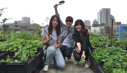 Vickie C. Yang, Mica Hsiao y Wan Lin Chen, creadoras de la la granja-azotea Jiajiajiu.
