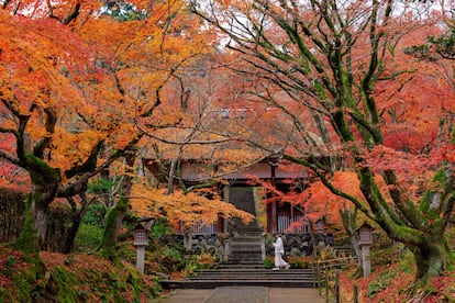 Los colores rojos otoñales son los protagonistas en el templo de Eikan-do Zenrin-ji en Kioto (Japón).