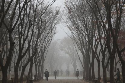 Un grupo de personas con mascarillas camina por una calle cubierta de niebla en Goyang, Corea del Sur.