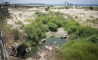 Aguas residuales en una playa de Tarifa (Cádiz). 