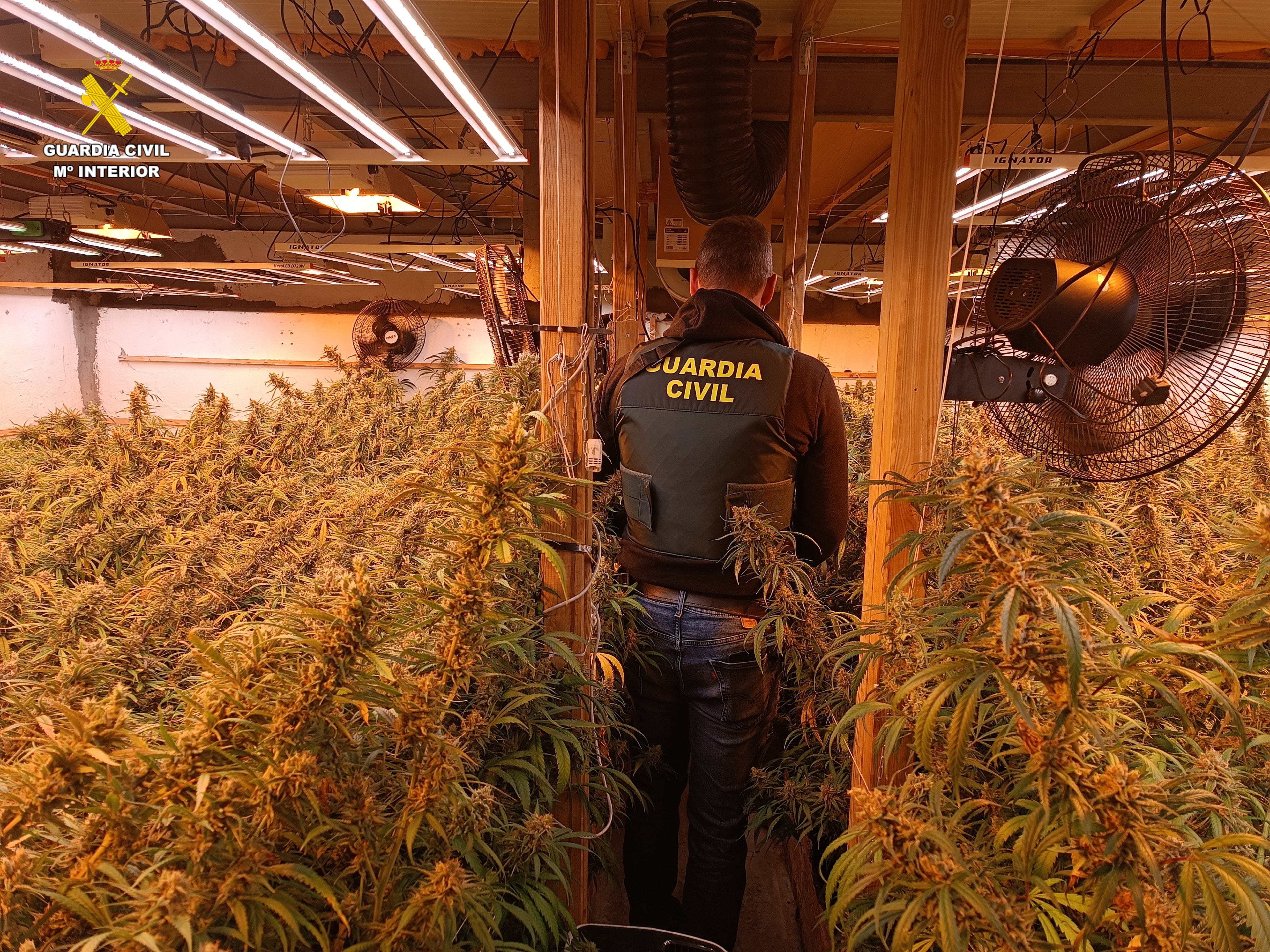 Contenedores de obra para depositar los restos de marihuana: el arma de Pinos Puente (Granada) en su lucha antidroga
