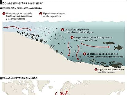 Zonas muertas en el mar