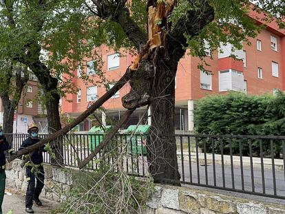 Bomberos realizan 184 intervenciones por tormentas en toda la región madrileña, ninguna con heridos