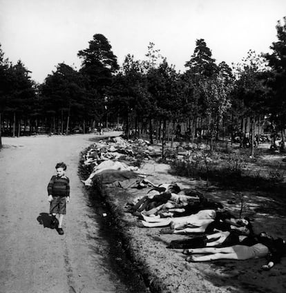 Un niño camina por una carretera llena de cadáveres de prisioneros asesinados en el campo de concentración de Bergen-Belsen.
