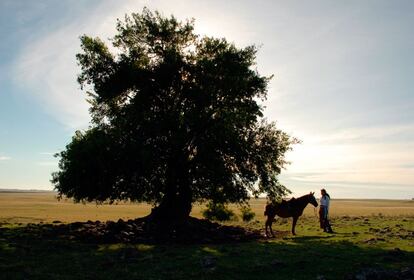 Desde hace unos años Uruguay se ha revelado como una joya para los que buscan experiencias diferentes: desde la cosmopolita Montevideo hasta la fiestera Punta del Este o a vivir como un gaucho y dar paseos a caballo por el inmenso interior del país. 10 buenas razones para viajar a Uruguay.