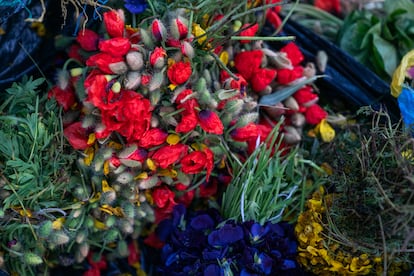 Plantas: Amapola (roja) regula la menstruación. Flor de Pensamiento (violeta) para dolores y coágulos del corazón, para estrés y nervios. ñagcha (amarilla) para la bilis.