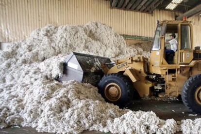 Un trabajador carga algodón en una planta de Sevilla. La próxima campaña podría superar las 200.000 toneladas, casi cuatro veces más que en 2008.