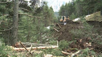 Els serveis d'auxili accediran a la zona on es troben les restes de l'A-320 de Germanwings als Alps francesos per primera vegada per via terrestre, ja que les males condicions climàtiques dificulten el vol dels helicòpters. A la imatge, una excavadora treballa per condicionar una carretera que arribi al lloc on es va estavellar l'avió.