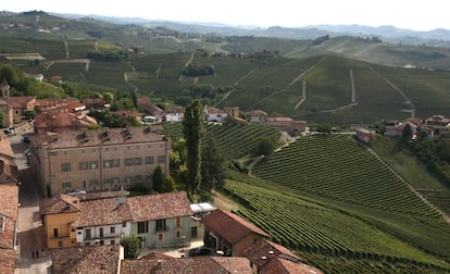 Foto de la región de la bodega Gaja, proporcionada por la compañía.