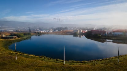 Humedal Laguna Pudeto Cerro de la Cruz en Chile, el 26 de marzo de 2025.