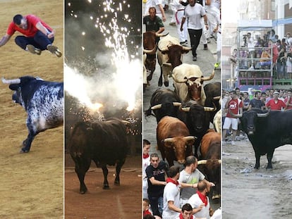 Los festejos taurinos populares incluyen recortes, toros embolados, encierros, sueltas y toros en cuerda.