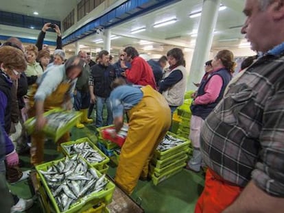 Venta de pescado en la lonja de O Berb&eacute;s, en Vigo.