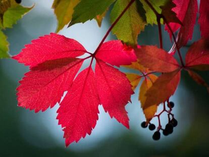 Equinoccio de otoño en el hemisferio sur.