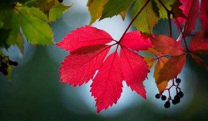 Equinoccio de otoño en el hemisferio sur.