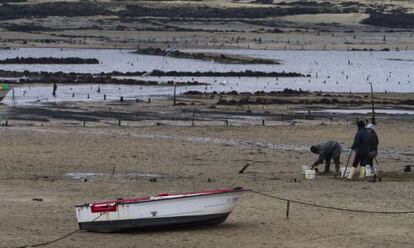 Mariscadores en la r&iacute;a de Arousa.