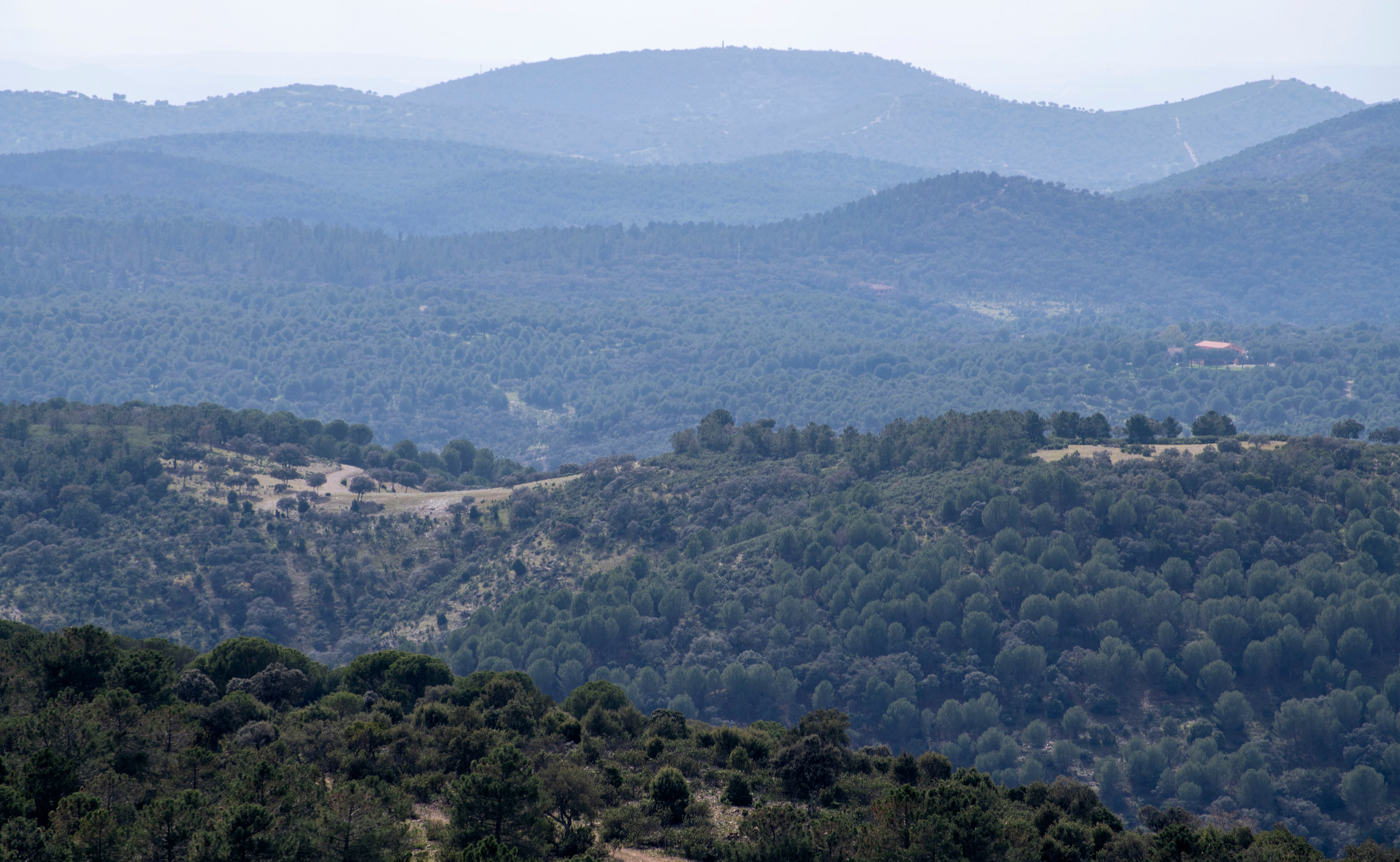 El parque natural de Despeñaperros, la zona donde se desarrolló el conflicto bélico. 