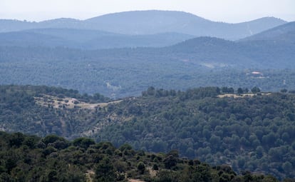 El parque natural de Despeñaperros, la zona donde se desarrolló el conflicto bélico. 
