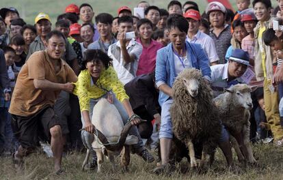 Cabras y ovejas son obligadas a participar en una carrera durante una fiesta local en la ciudad de Fengshan (China), el 26 de julio de 2014.