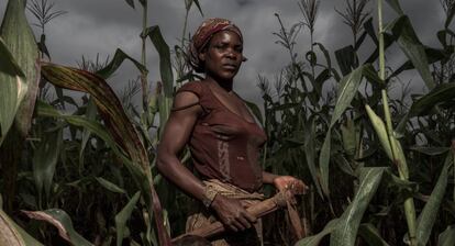 Delinda, de 25 años, trabaja en la parcela de tierra de su familia en Lichinga, Mozambique, en marzo de 2017. Antes era empleada de Green Resources, pero dejó la empresa porque no le gustaba trabajar para ellos.