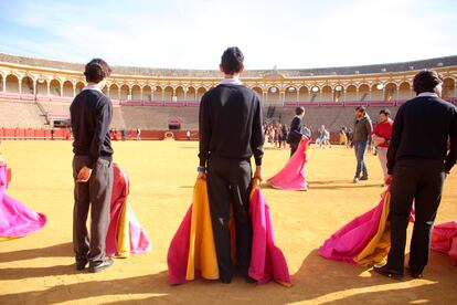 Jornadas escolares en la plaza de La Maestranza, en 2018.