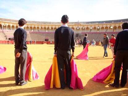 Jornadas escolares en la plaza de La Maestranza, en 2018.