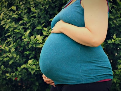 Así es la nueva norma de vientres de alquiler de Portugal de la que hablan en la investidura