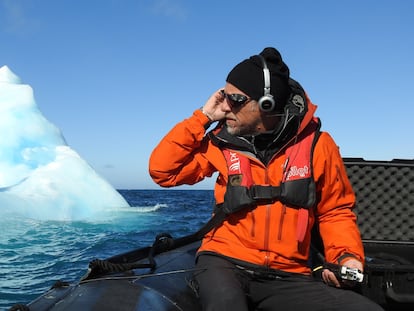 El ruido en el mar, una contaminación invisible