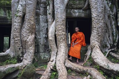 Un monje budista en los tempos de Angkor Wat, en Camboya. algunos de los cuales permanecen engullidos por la espesura de la jungla.